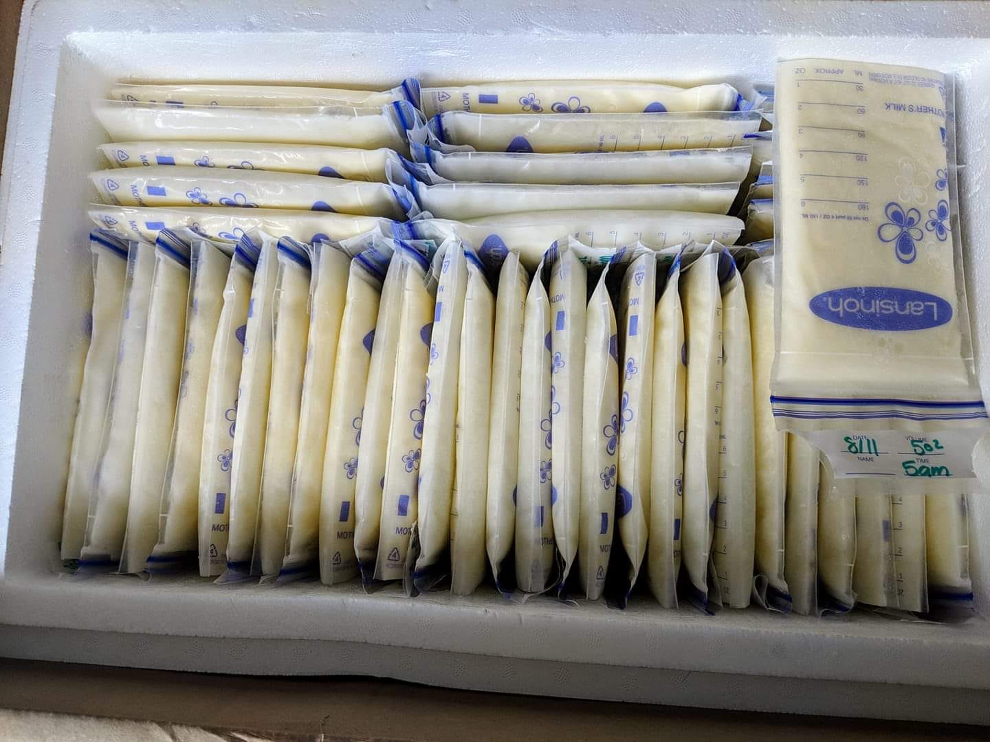 Guide to Shipping Breast Milk Boston, San Francisco & Worldwide